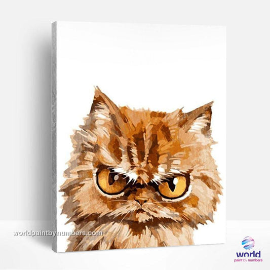 Angry Kitty - Kits de peinture du monde par numéros™ à faire soi-même