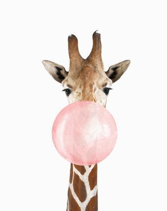 Girafe à bulles - Kits de peinture par numéros™ du monde à faire soi-même