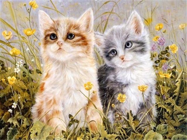 Couple de chatons dans le jardin - Kits de peinture du monde par numéros™ à faire soi-même