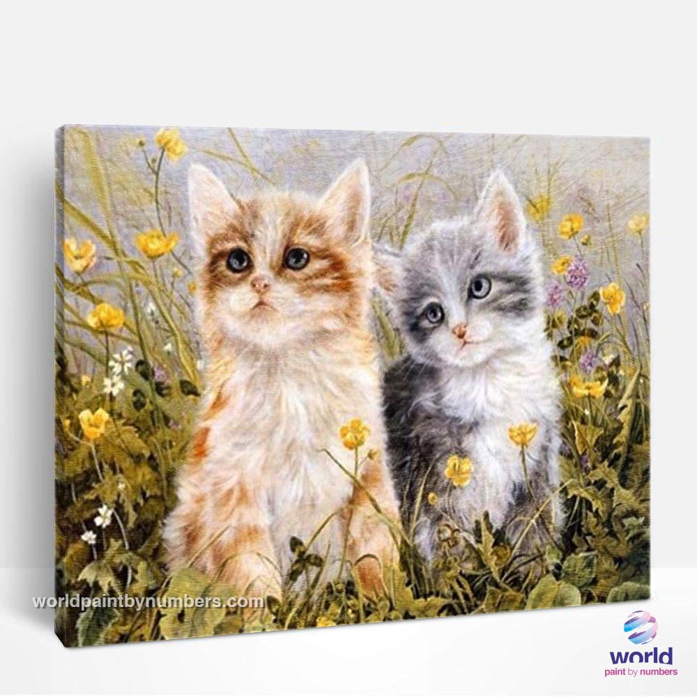 Couple de chatons dans le jardin - Kits de peinture du monde par numéros™ à faire soi-même