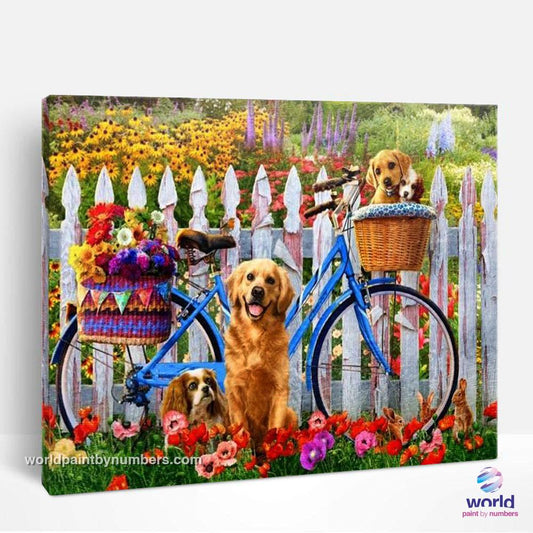 Golden Retrievers sur le vélo - World Paint by Numbers™ Kits