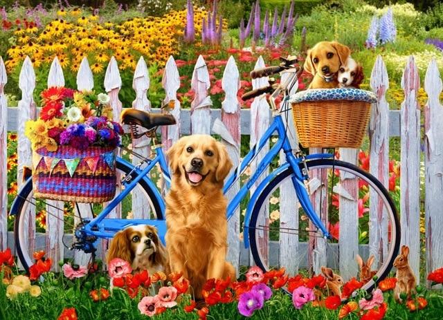 Golden Retrievers sur le vélo - World Paint by Numbers™ Kits