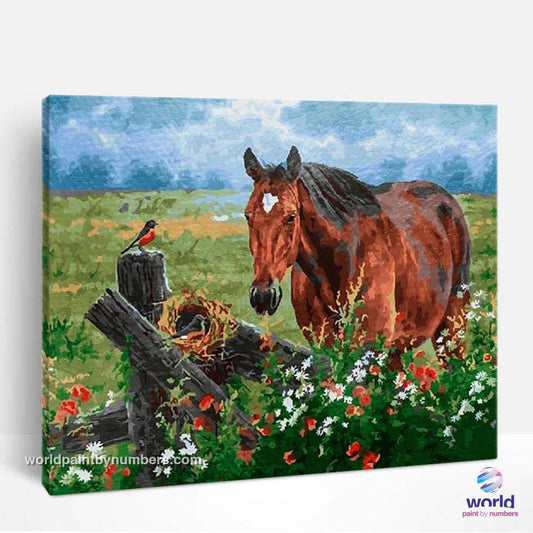 Cheval, oiseau et fleurs - Kits de peinture du monde par numéros™ à faire soi-même