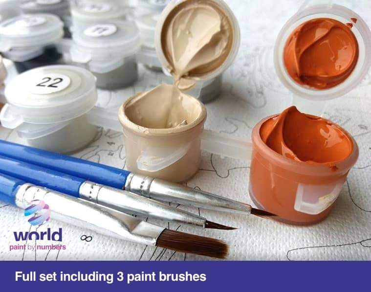 Tigre nageant - Kit de bricolage World Paint by Numbers™