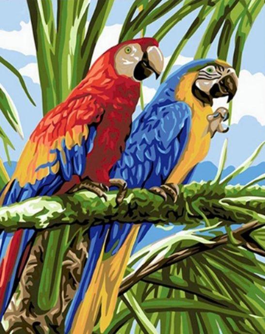 Couple d'aras tropicaux - Kits de peinture du monde par numéros™ à faire soi-même