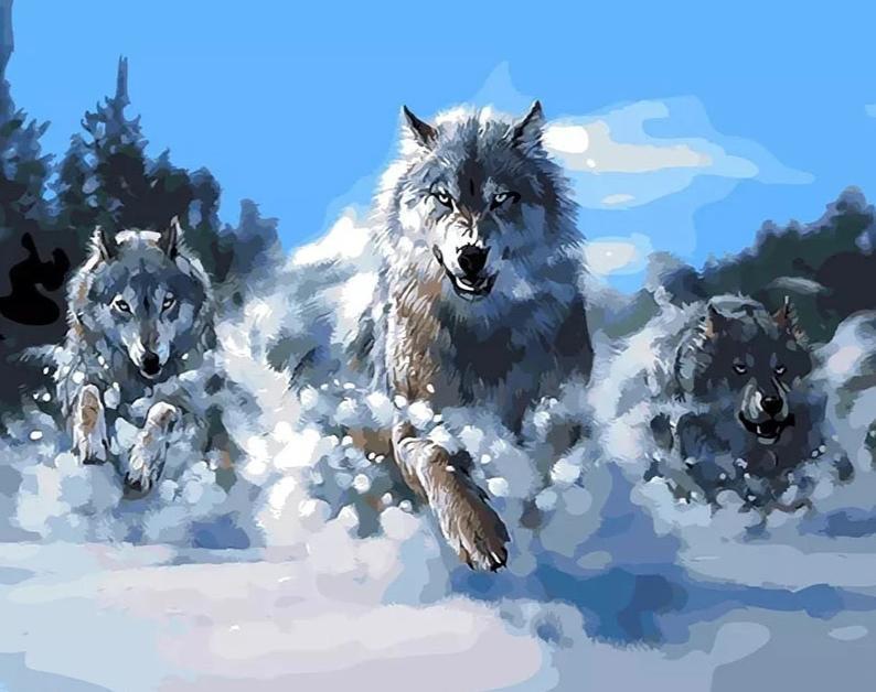 Loups dans la neige - Kits de peinture par numéros™ à faire soi-même